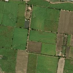El Grullo Municipality map(satellite map)