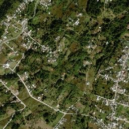 San Francisco map(satellite map)