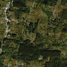 Cuauhtamingo map(satellite map)