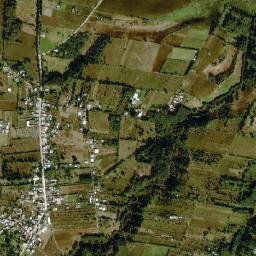 Miguel Hidalgo map(satellite map)