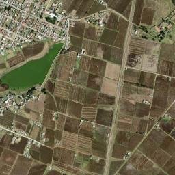 Ejido del Tunal Nenaxi map(satellite map)