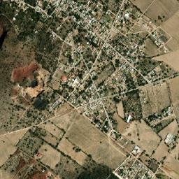 San Miguel Atepoxco map(satellite map)