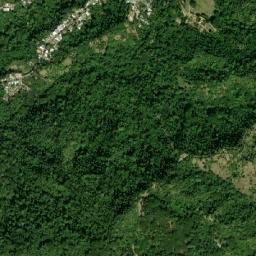 Los Hidalgos map(satellite map)