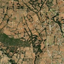 San Miguel del Centro map(satellite map)