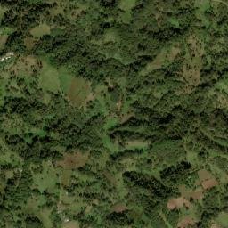 Tonayán map(satellite map)