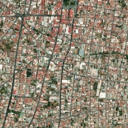 Zapotlán El Grande Municipality map(satellite map)