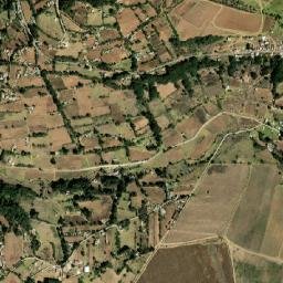 Cedro de la Manzana map(satellite map)
