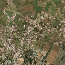 Los Reyes map(satellite map)