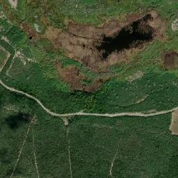 Pepillo Salcedo map(satellite map)