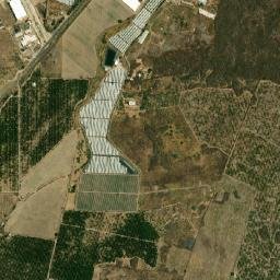 Ciudad Guzmán CERESO map(satellite map)