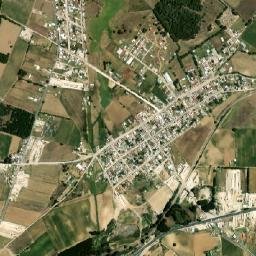 Cruz Blanca map(satellite map)