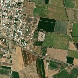 Lo Arado map(satellite map)