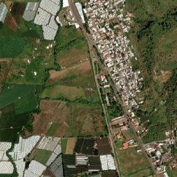 La Higuerita (Colonia San Rafael) map(satellite map)