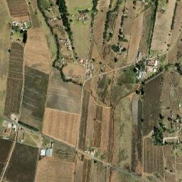Dios Padre map(satellite map)