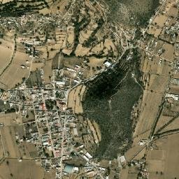 Cuyoaco map(satellite map)