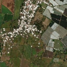 Los Limones map(satellite map)