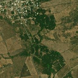 Palmas de Abajo map(satellite map)