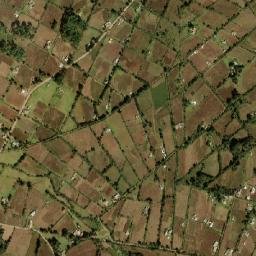 La Guadalupana map(satellite map)
