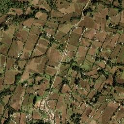 Palos Amarillos (Palos Amarillos Yebuciví) map(satellite map)