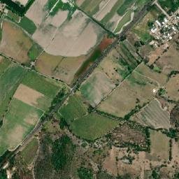 Ejido Modelo map(satellite map)