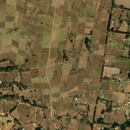 La Campanilla map(satellite map)