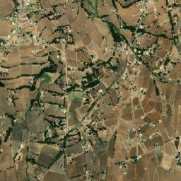 San Diego del Cerrito map(satellite map)