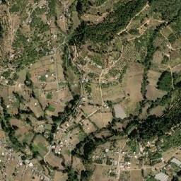 Donaciano Ojeda map(satellite map)