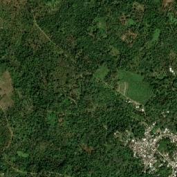 Pacho Nuevo map(satellite map)