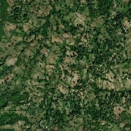 Wanament map(satellite map)