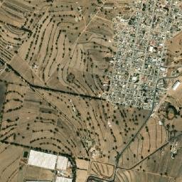 Nicolás Bravo map(satellite map)