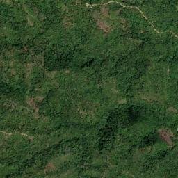 Salcedo map(satellite map)