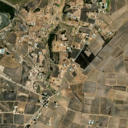 Ejido San Diego map(satellite map)