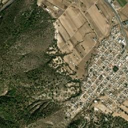 San Antonio Virreyes map(satellite map)