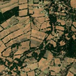 San Agustín Berros map(satellite map)