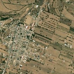 Concepción Hidalgo map(satellite map)