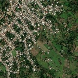 Tuzamapan map(satellite map)