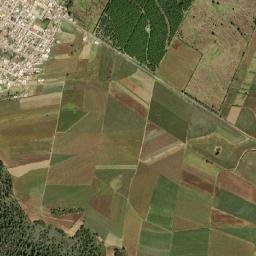 Santa Cruz Otlatla map(satellite map)