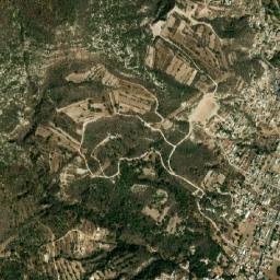 Los Reyes Quiahuixtlan map(satellite map)