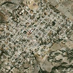 Emilio Portes Gil map(satellite map)