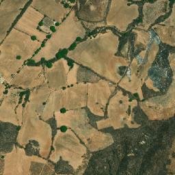 Canchol map(satellite map)