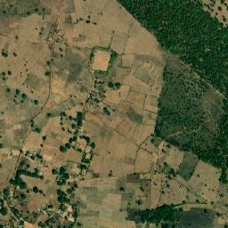 Bastar map(satellite map)