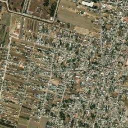 Moyotzingo map(satellite map)