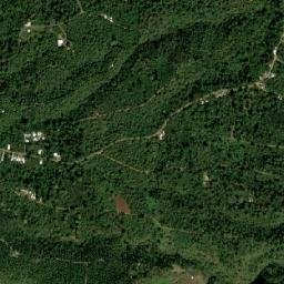 Tenampa map(satellite map)