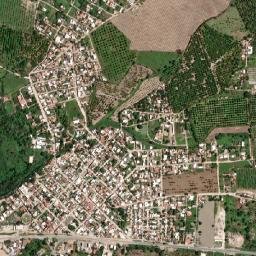 Jaluco map(satellite map)