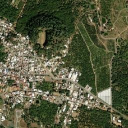 Tecario map(satellite map)