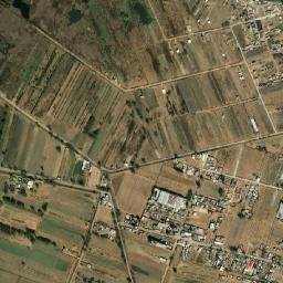 Agua Blanca map(satellite map)