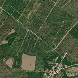 El Rebalse map(satellite map)