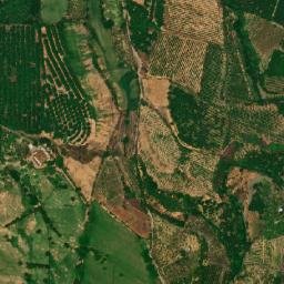 Buenavista map(satellite map)