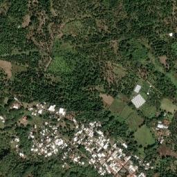 Nuevo Urecho map(satellite map)