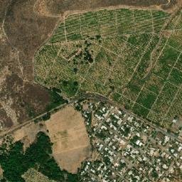 San Juan De Los Platanos map(satellite map)
